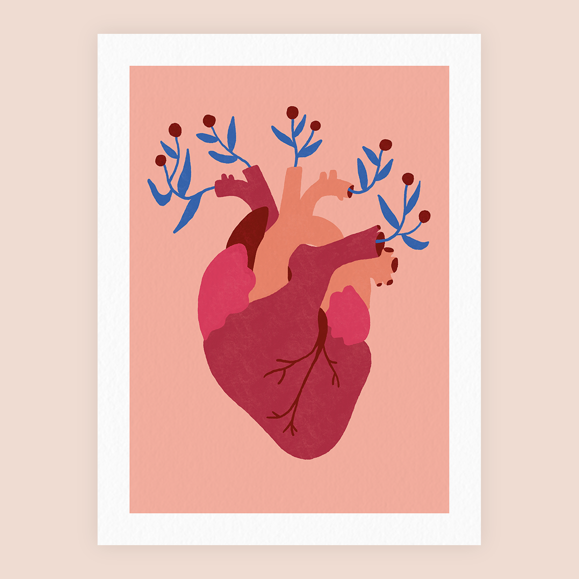 Hémato (A4 ou 30x40) * Affiche à l'unité