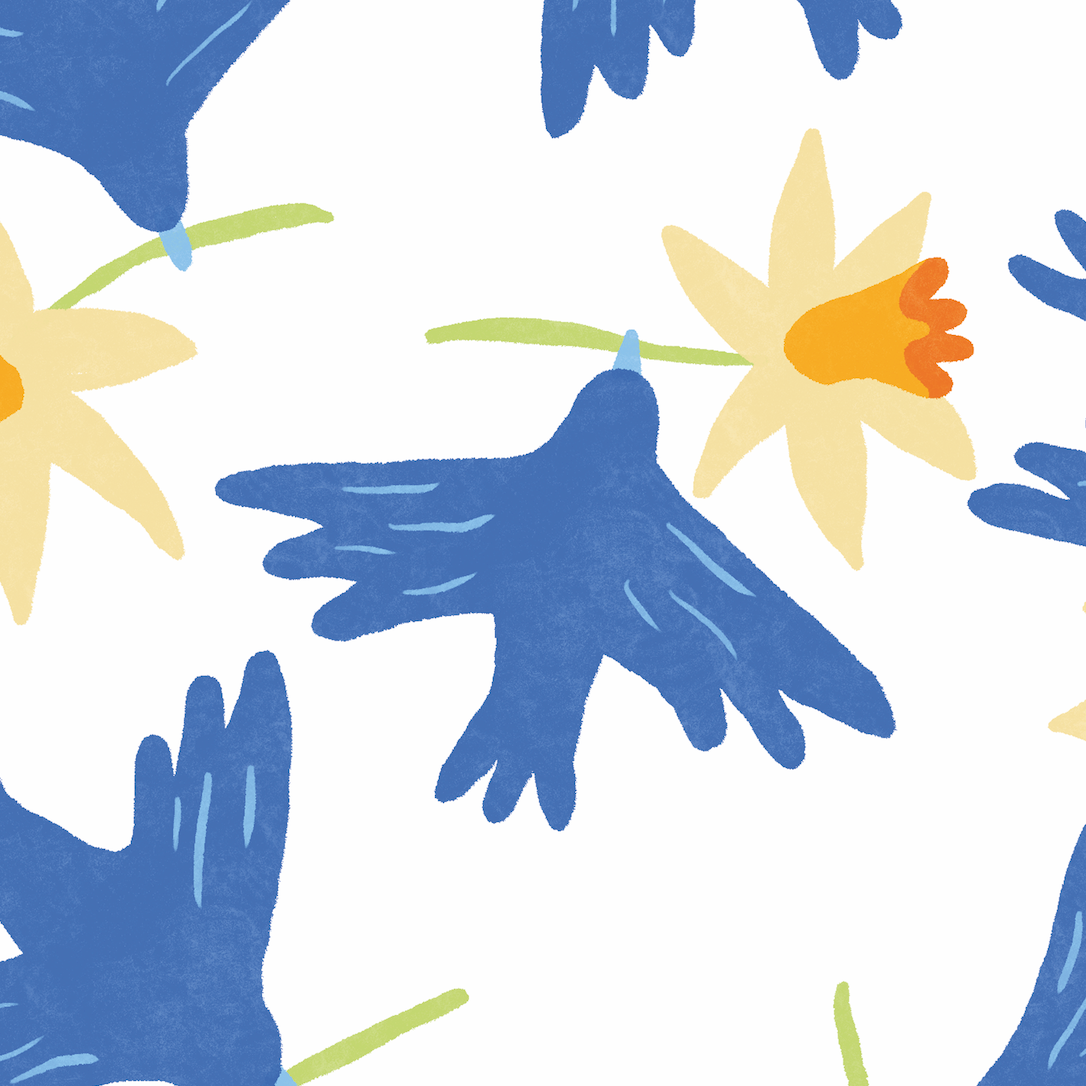 Jonquilles