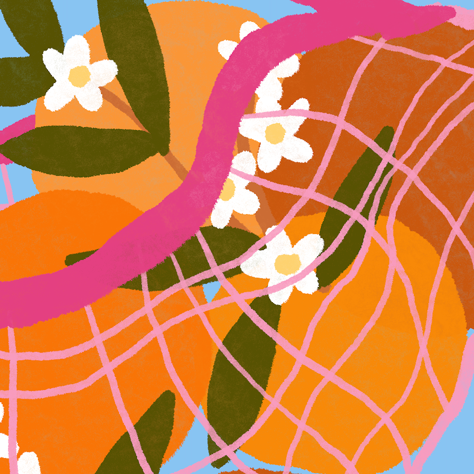 Fleur d'oranger (A4 ou 30x40) * Affiche à l'unité