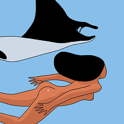 Raies (A4 ou 30x40) * Affiche à l'unité
