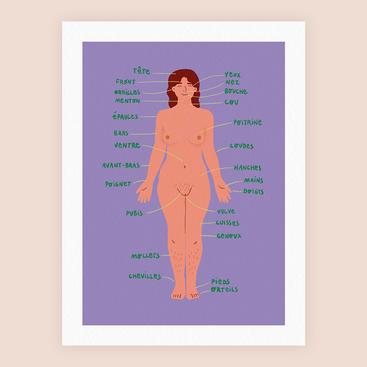 ANATOMIE FÉMININE