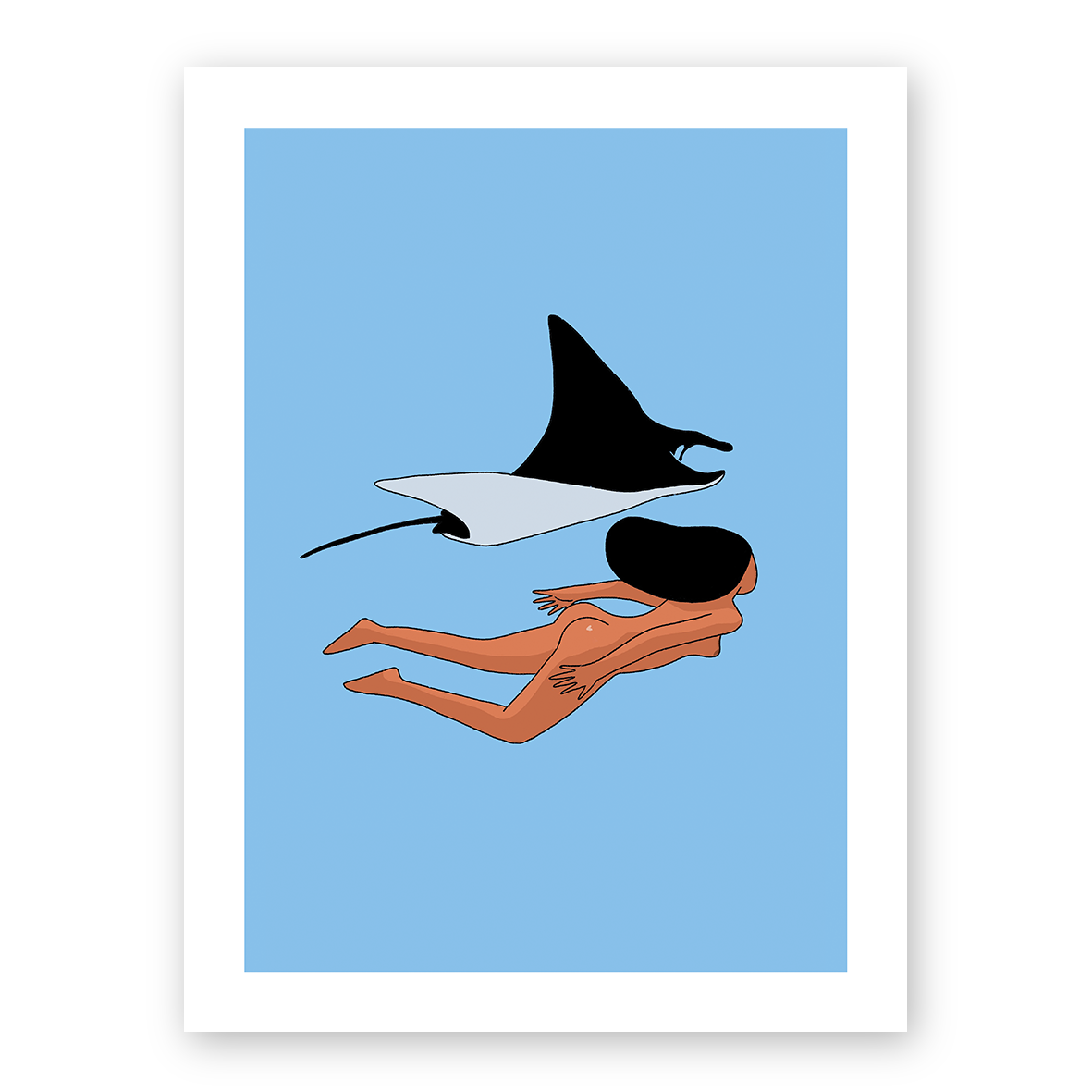Raies (A4 ou 30x40) * Affiche à l'unité