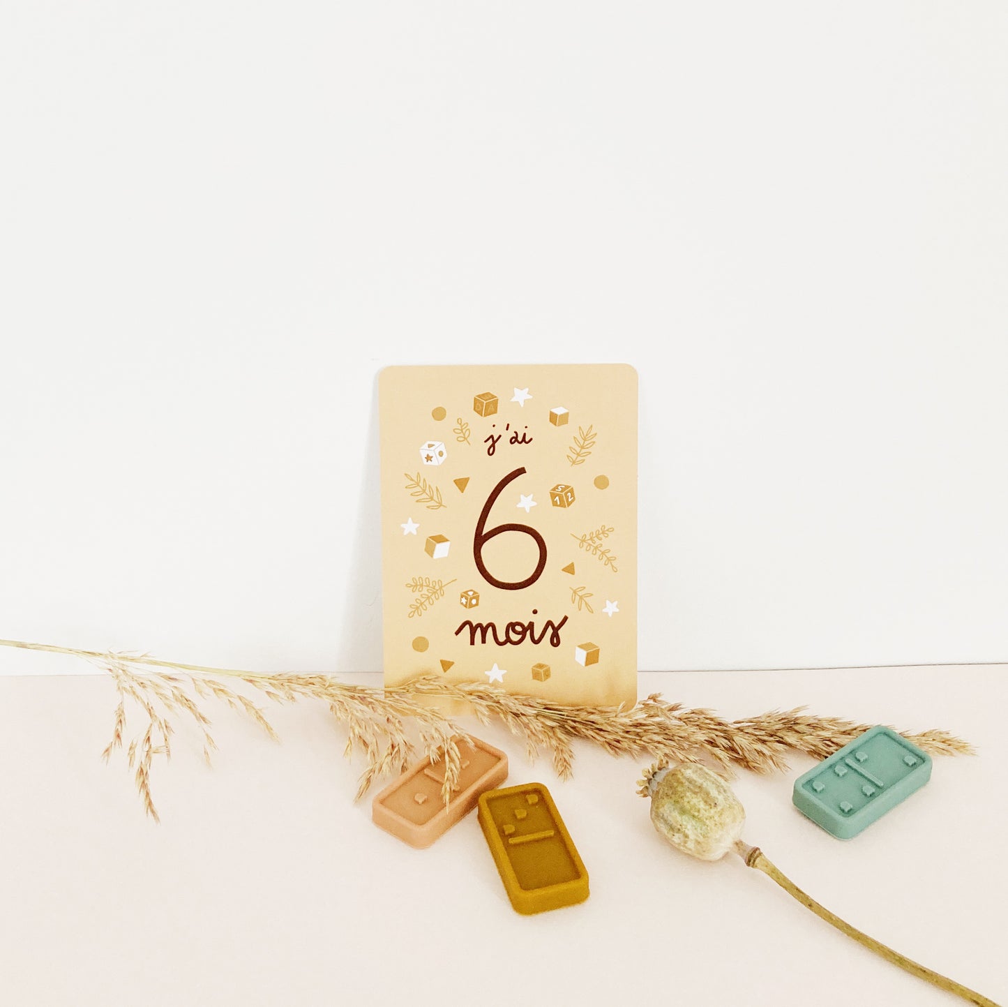 6 MOIS