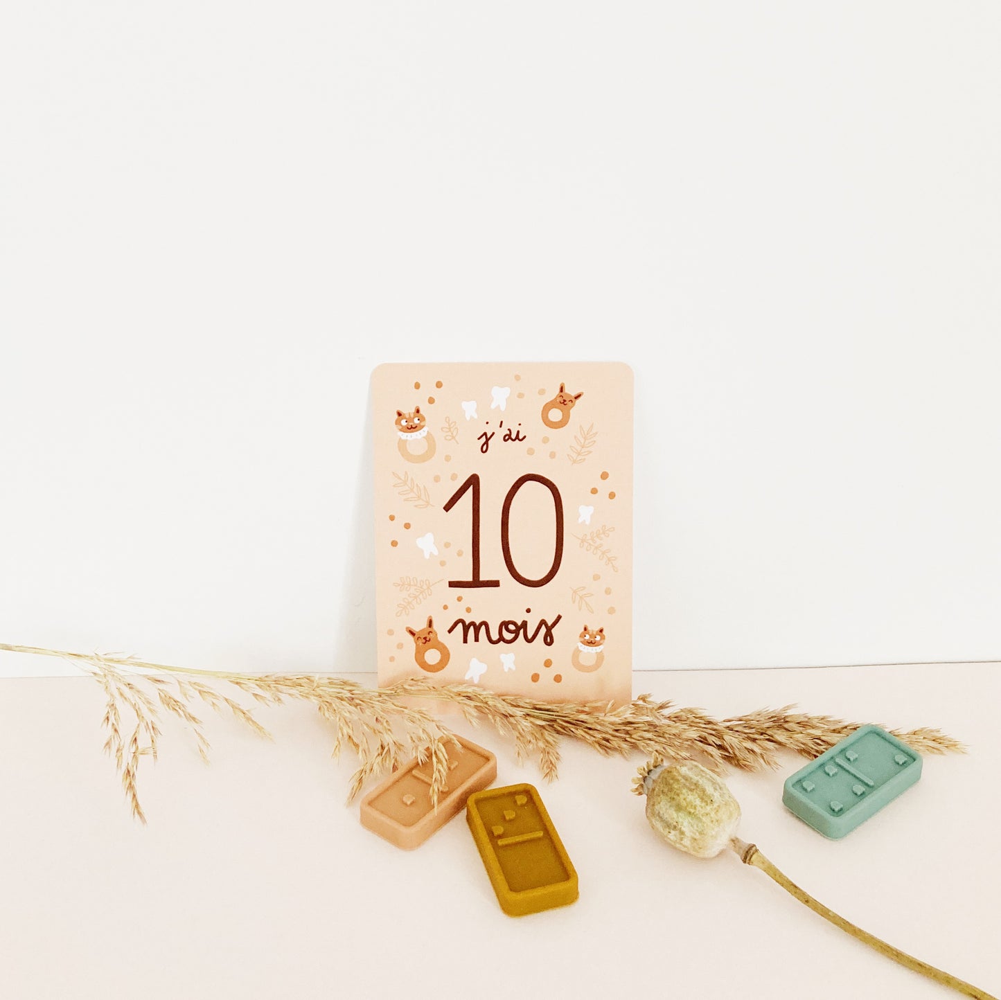 10 MOIS