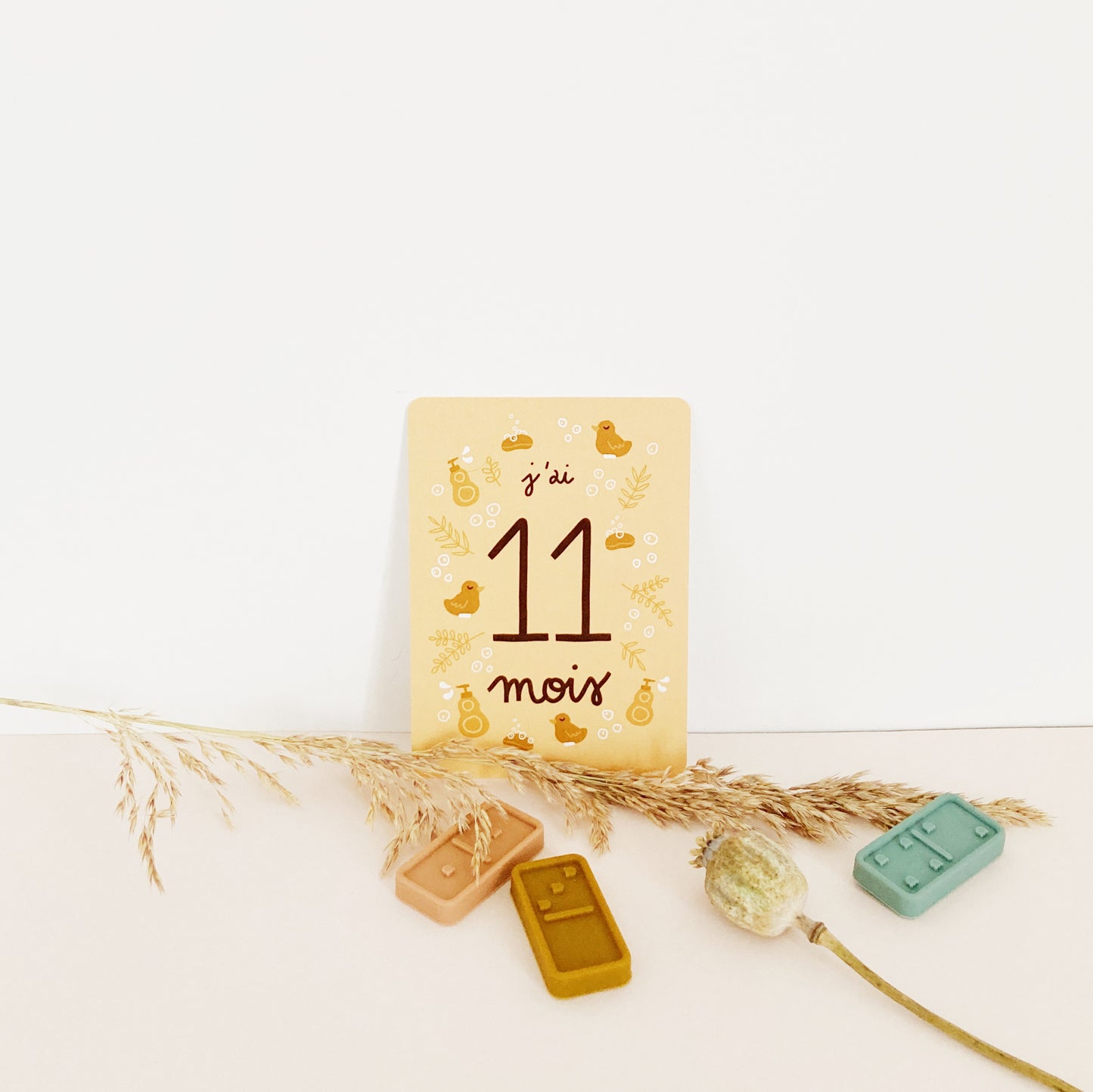 11 MOIS