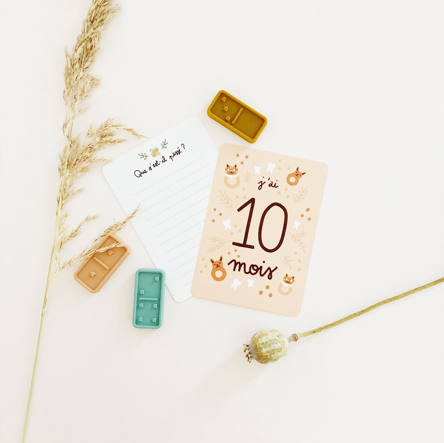 10 MOIS