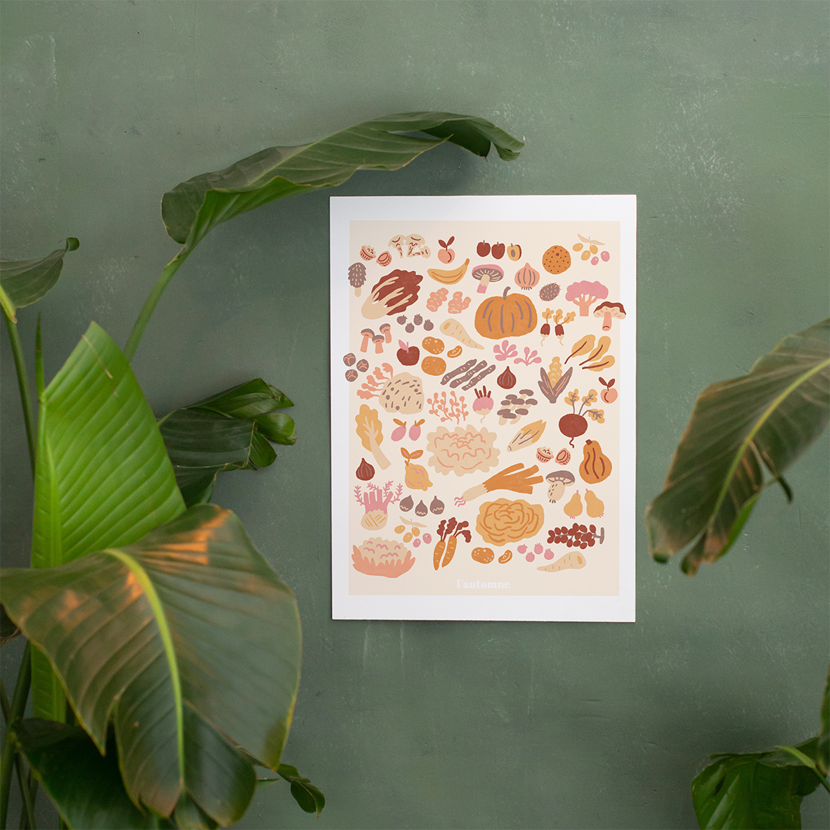 Fruits & légumes d'automne