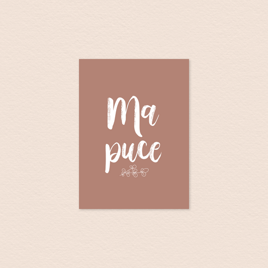 Carte . Ma puce